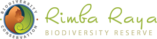 Rimba Raya Biodiversity Reserve Rimba Raya, nearly the size of Singapore, protects one of the most highly endangered ecosystems in the world.