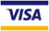 Visa Card Logo